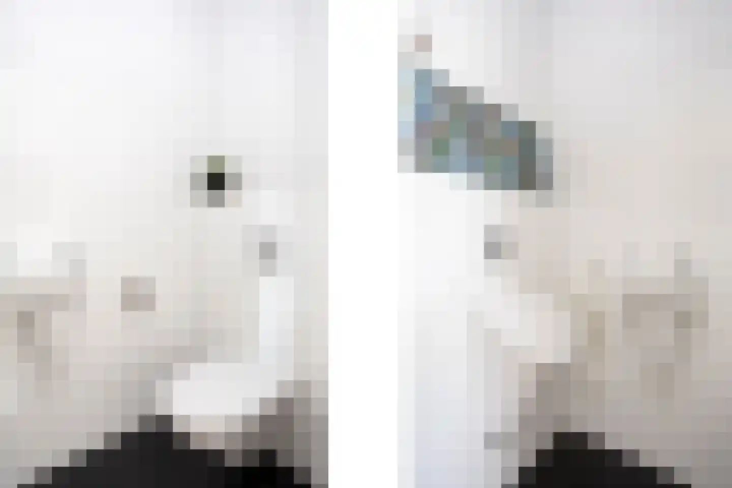 Roland Holstlaan 6 Bergschenhoek thumbnail 8