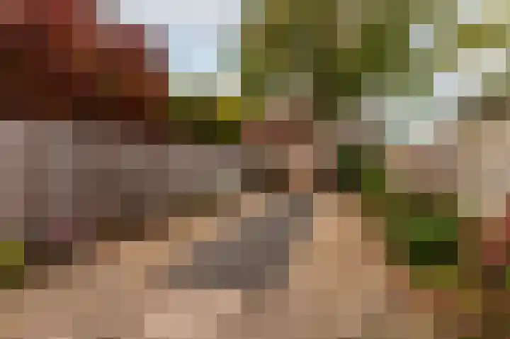 Roland Holstlaan 7 Harderwijk thumbnail 37