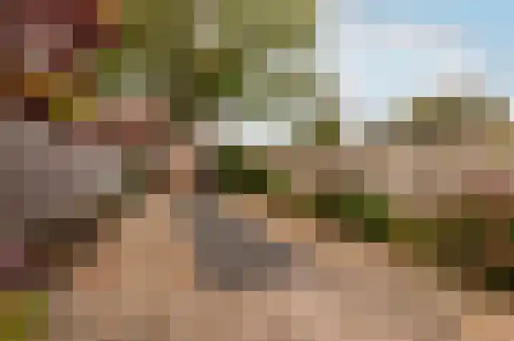 Roland Holstlaan 7 Harderwijk thumbnail 38