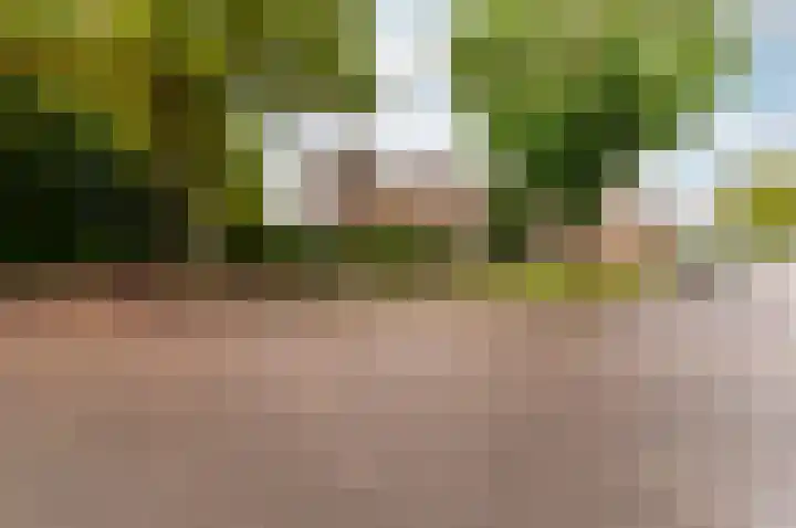Roland Holstlaan 7 Harderwijk thumbnail 41