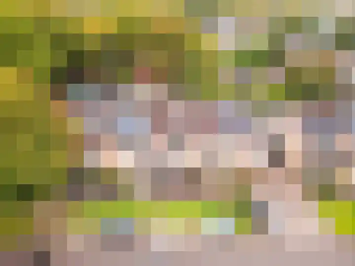 Roland Holstlaan 7 Harderwijk thumbnail 42