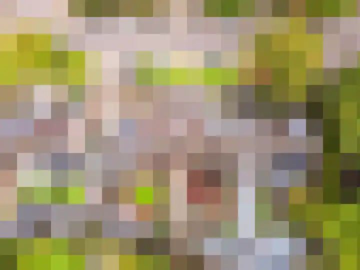 Roland Holstlaan 7 Harderwijk thumbnail 43
