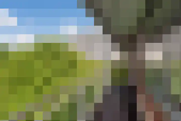 Roland Holstlaan 730 Delft thumbnail 11