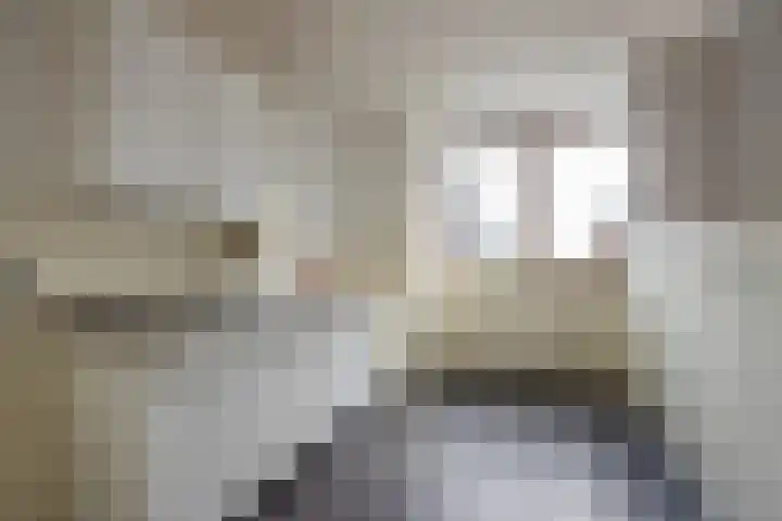 Roland Holstlaan 730 Delft thumbnail 15