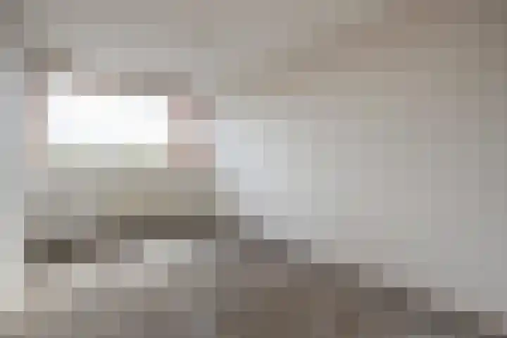 Roland Holstlaan 730 Delft thumbnail 17