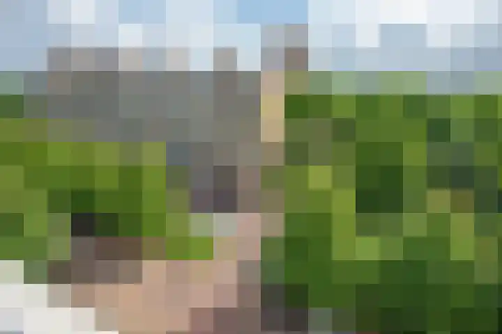 Roland Holstlaan 730 Delft thumbnail 22