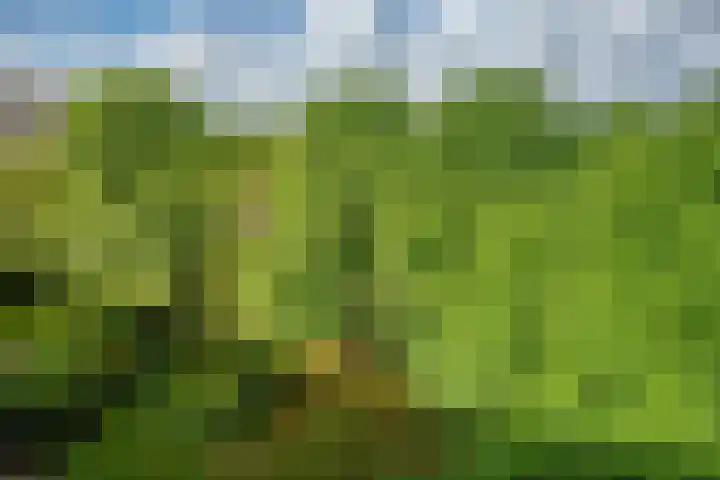 Roland Holstlaan 730 Delft thumbnail 23