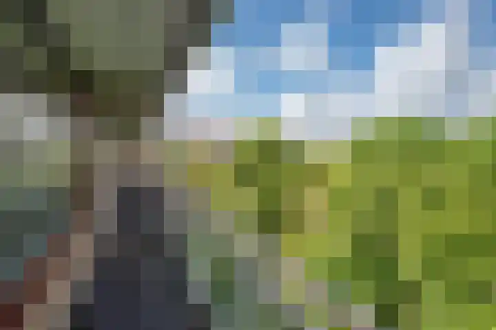 Roland Holstlaan 730 Delft thumbnail 4