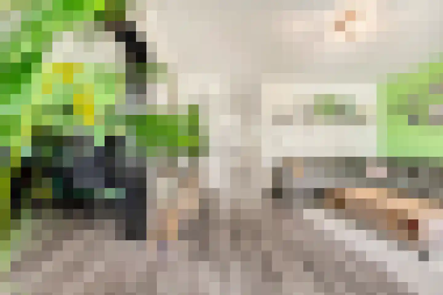 Roland Holstlaan 746 Delft thumbnail 11