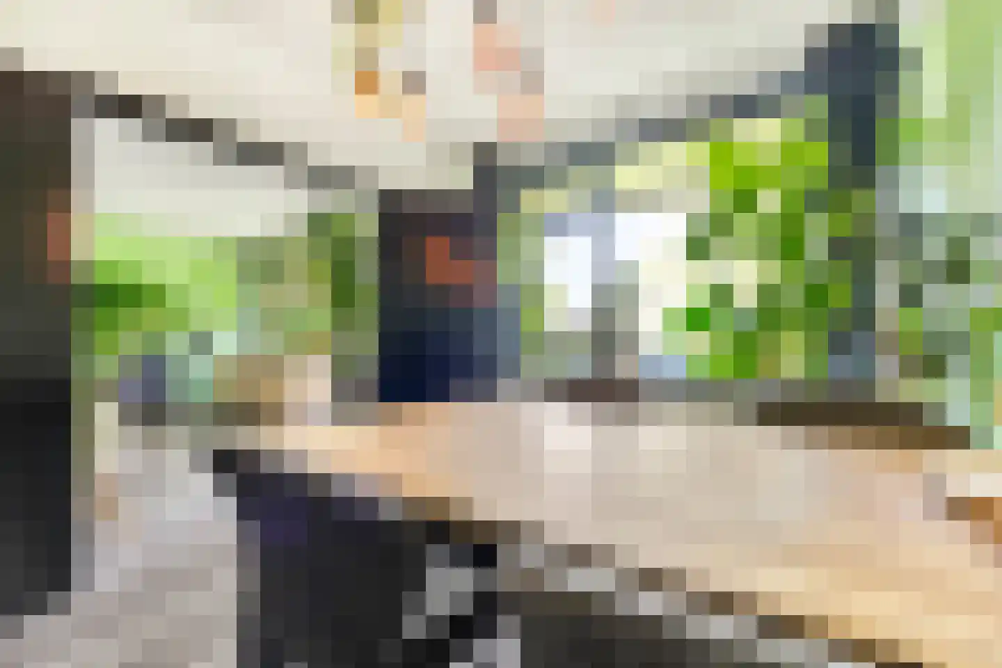 Roland Holstlaan 746 Delft thumbnail 14