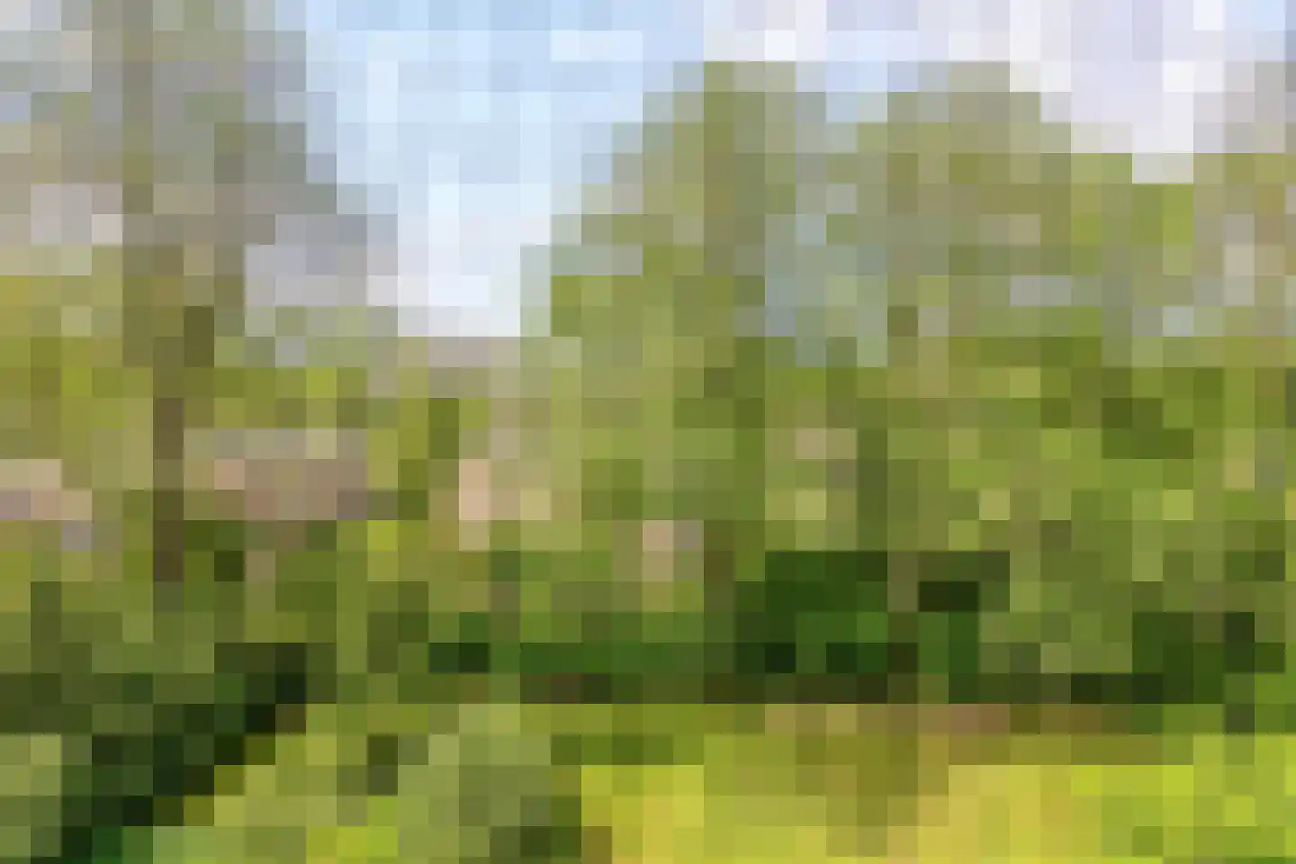 Roland Holstlaan 746 Delft thumbnail 16