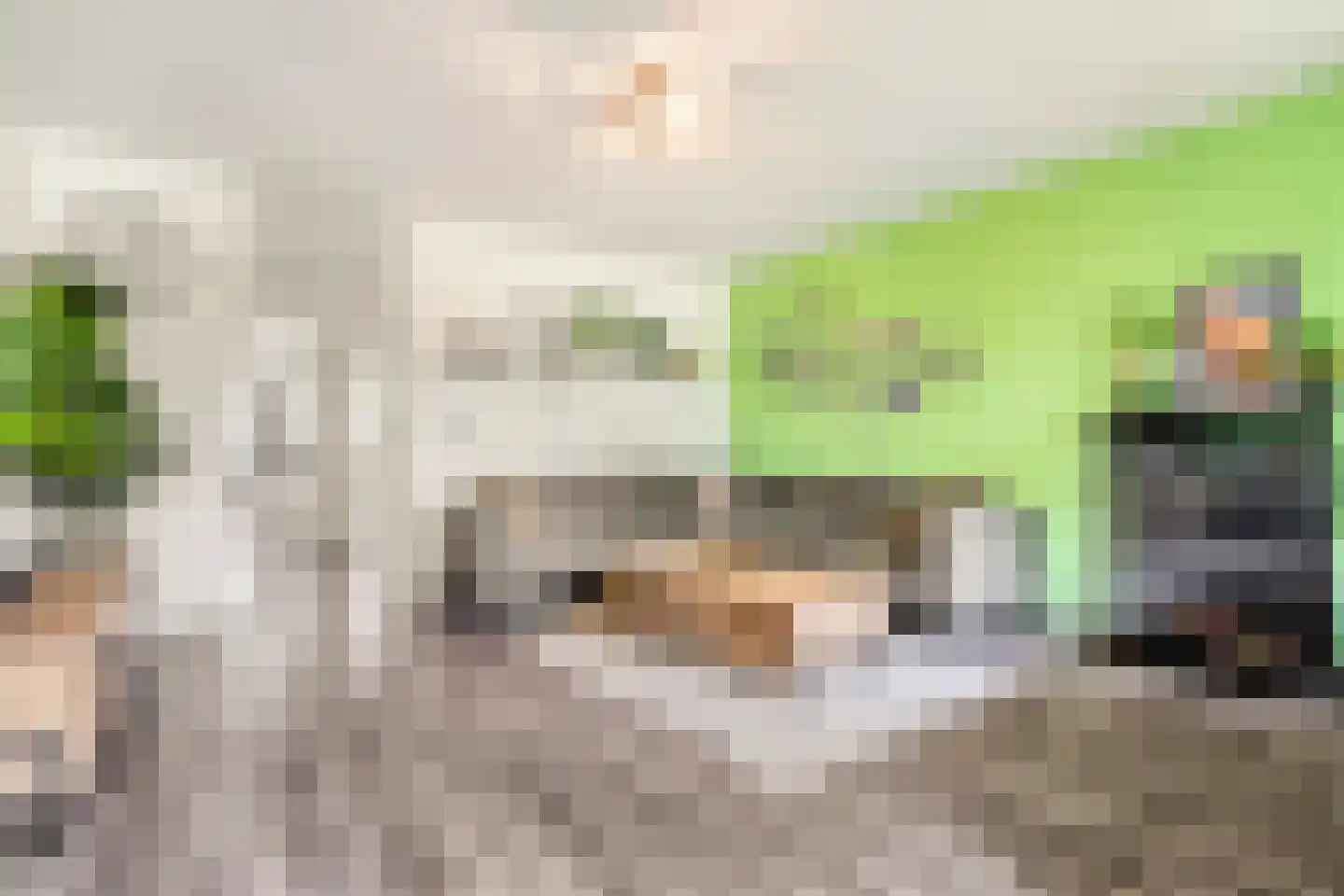 Roland Holstlaan 746 Delft thumbnail 8