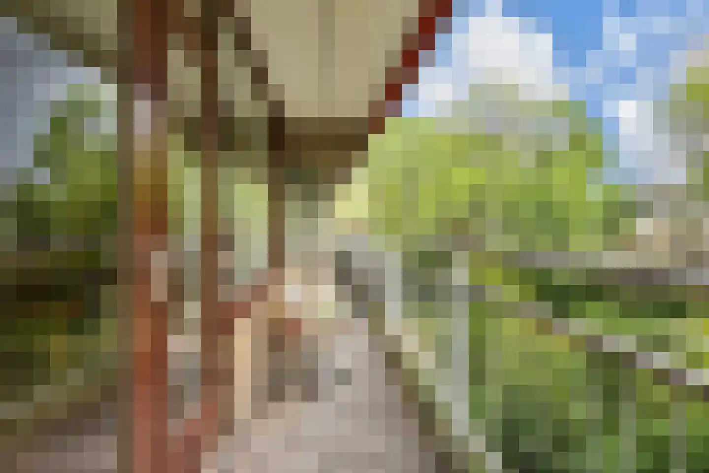 Roland Holstlaan 770 Delft thumbnail 18