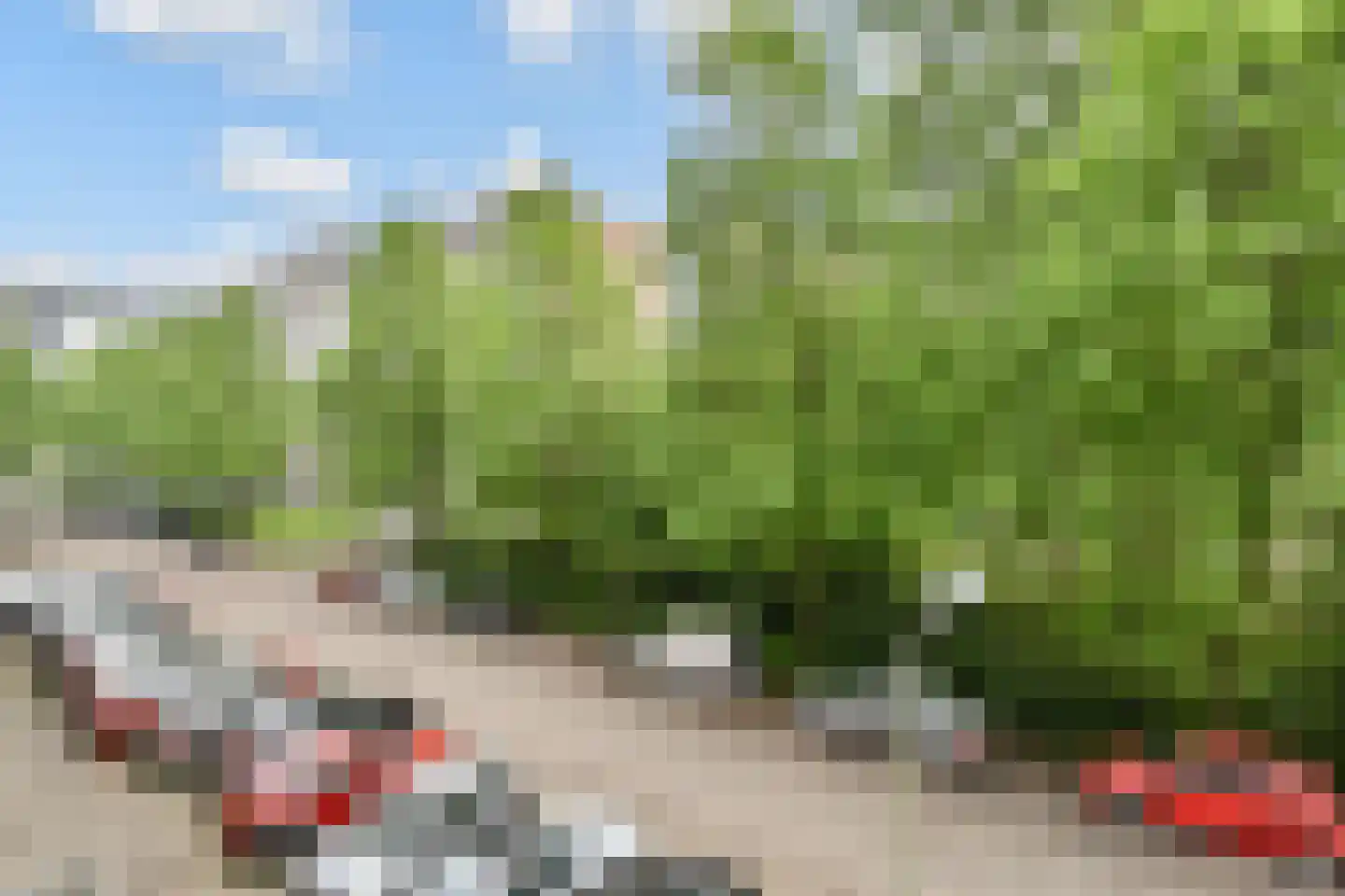 Roland Holstlaan 770 Delft thumbnail 22