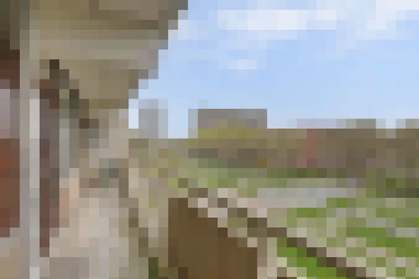 Roland Holstlaan 805 Delft thumbnail 28