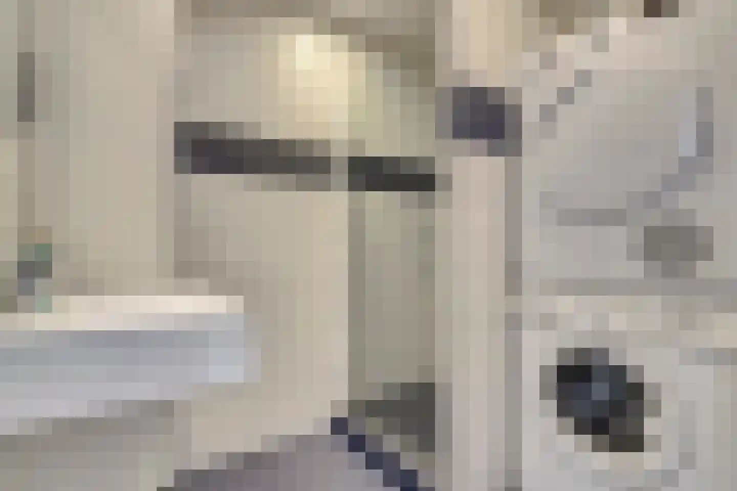 Roland Holstlaan 805 Delft thumbnail 32