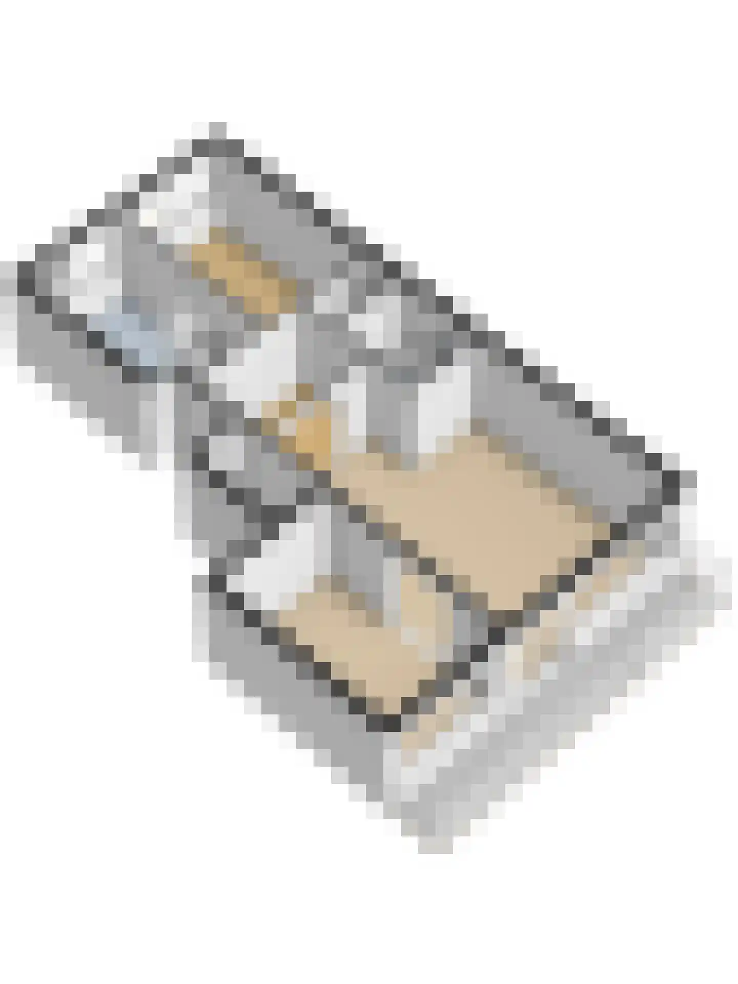 Roland Holstlaan 805 Delft thumbnail 36