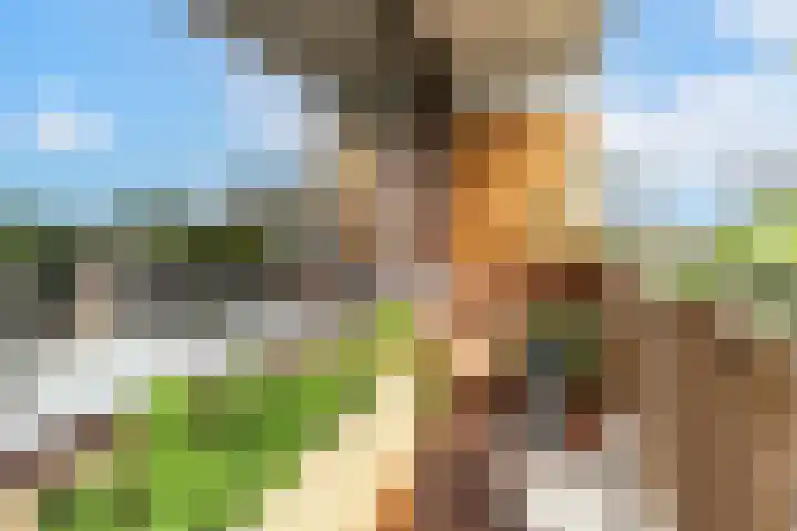 Roland Holstlaan 813 Delft thumbnail 16