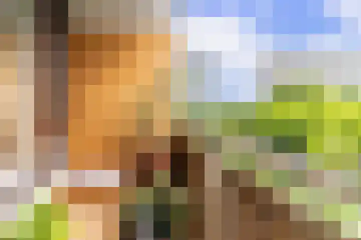 Roland Holstlaan 813 Delft thumbnail 17