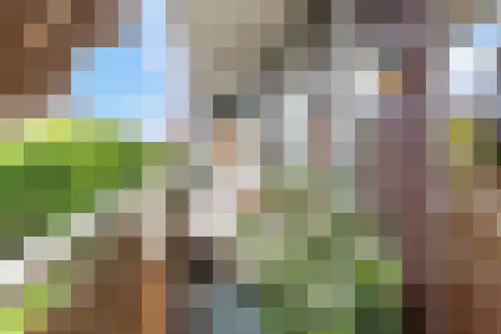 Roland Holstlaan 813 Delft thumbnail 21