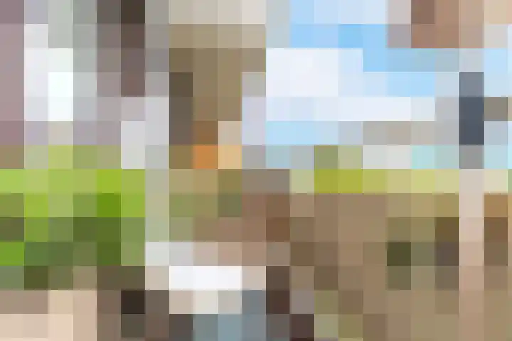 Roland Holstlaan 813 Delft thumbnail 23