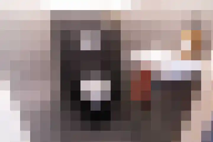 Roland Holstlaan 813 Delft thumbnail 6