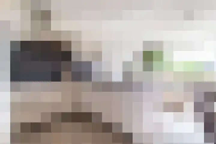 Roland Holstlaan 813 Delft thumbnail 7
