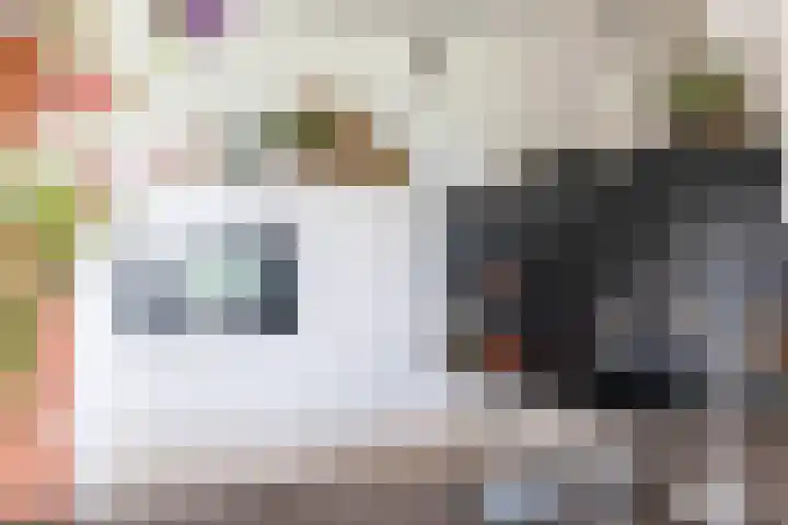 Roland Holstlaan 813 Delft thumbnail 9