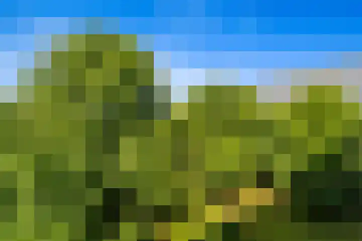 Roland Holstlaan 816 Delft thumbnail 10