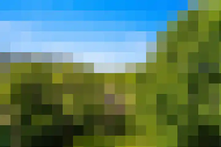 Roland Holstlaan 816 Delft thumbnail 11