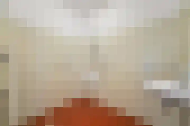 Roland Holstlaan 816 Delft thumbnail 21