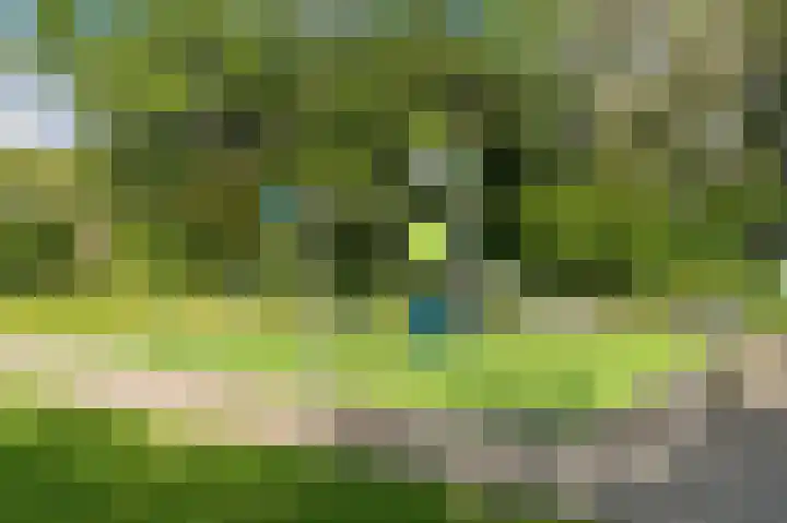 Roland Holstlaan 816 Delft thumbnail 31