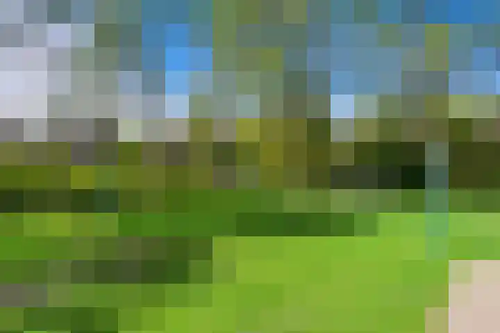 Roland Holstlaan 816 Delft thumbnail 34