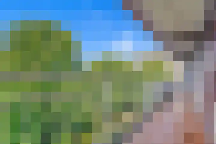 Roland Holstlaan 816 Delft thumbnail 8