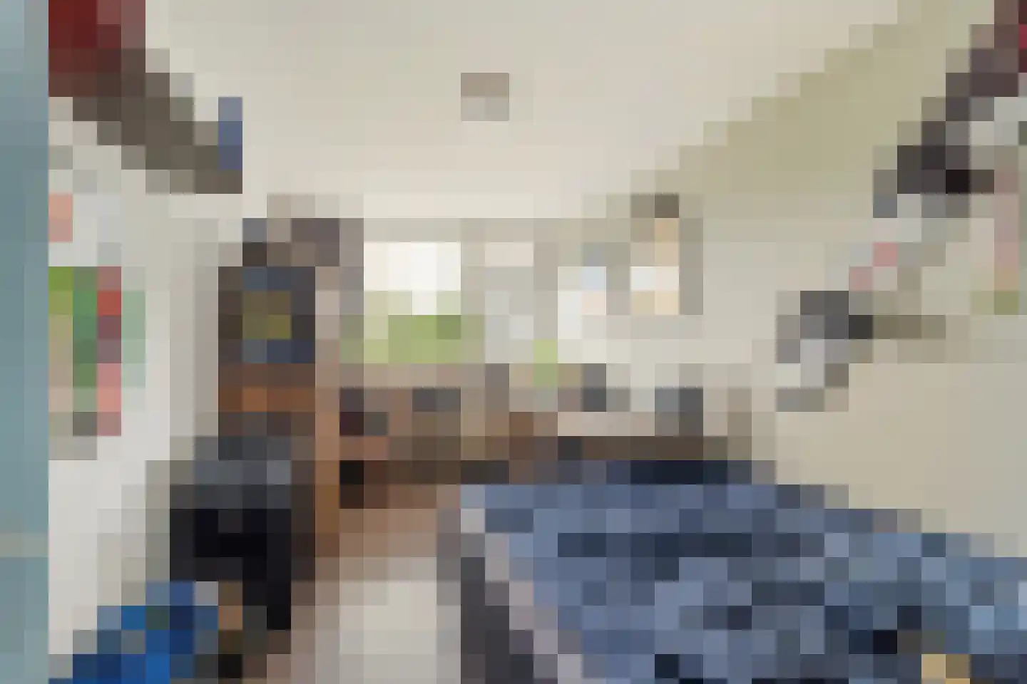 Roland Holstlaan 833 Delft thumbnail 18