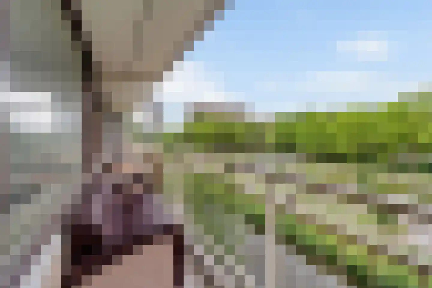 Roland Holstlaan 833 Delft thumbnail 22