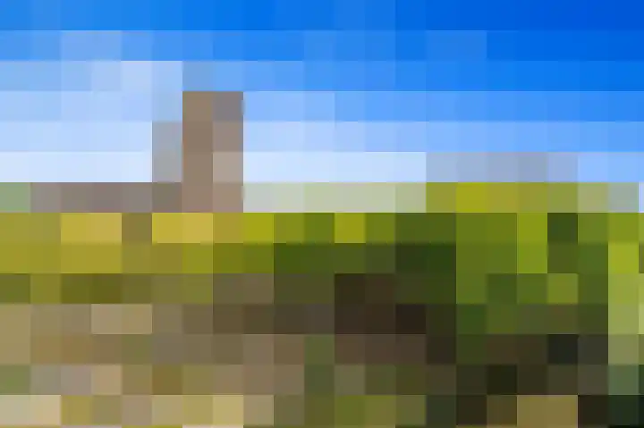 Roland Holstlaan 847 Delft thumbnail 8