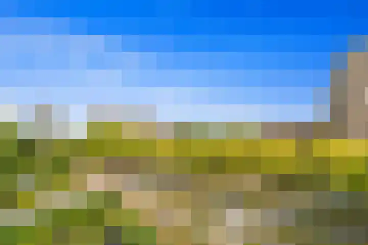 Roland Holstlaan 847 Delft thumbnail 9
