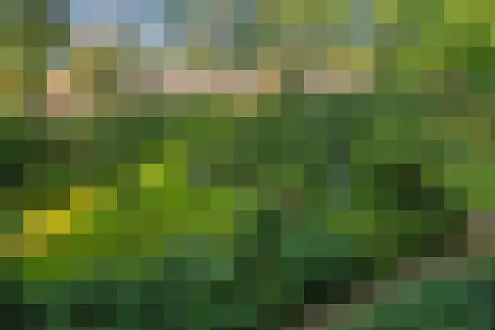 Roland Holstlaan 866 Delft thumbnail 10