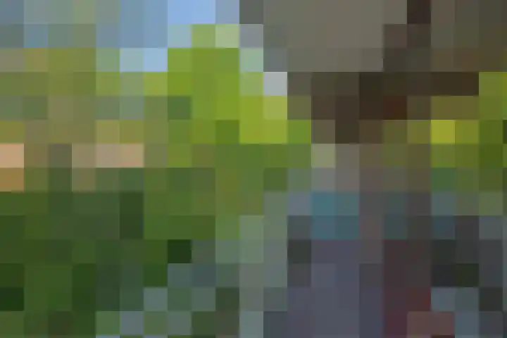 Roland Holstlaan 866 Delft thumbnail 11