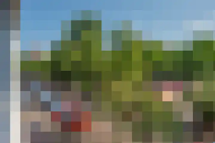 Roland Holstlaan 866 Delft thumbnail 20