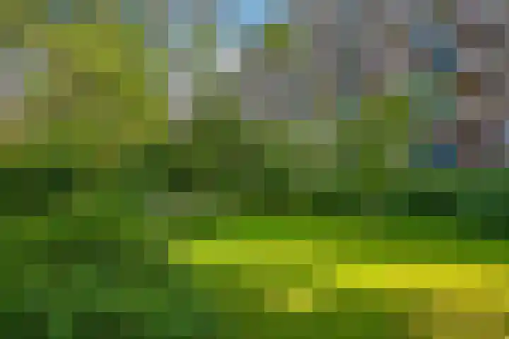 Roland Holstlaan 866 Delft thumbnail 28