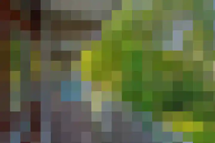 Roland Holstlaan 866 Delft thumbnail 8