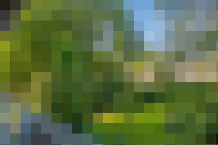 Roland Holstlaan 866 Delft thumbnail 9