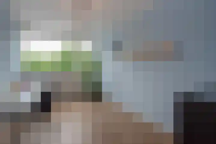 Roland Holstlaan 870 Delft thumbnail 23