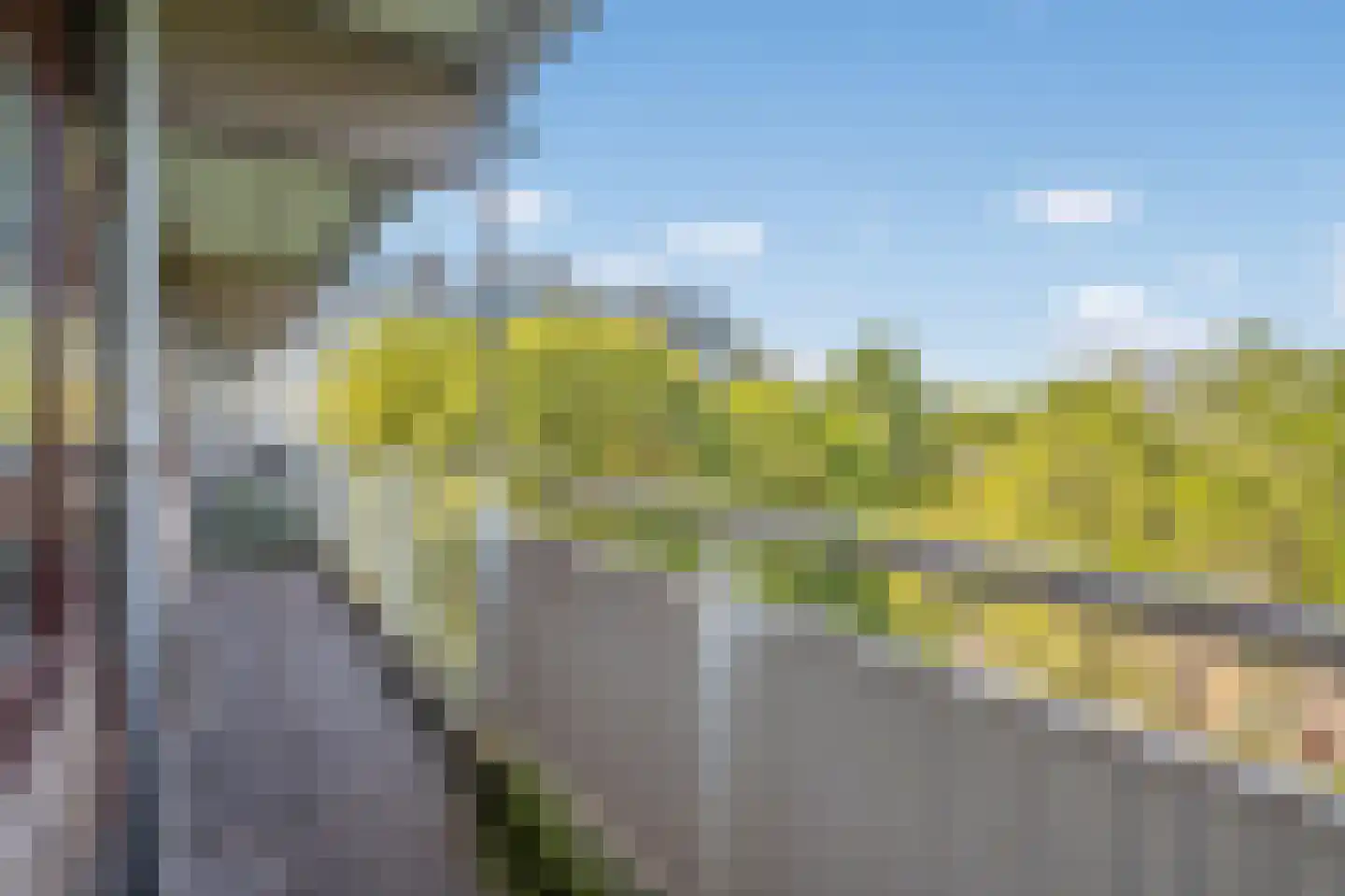 Roland Holstlaan 884 Delft thumbnail 10