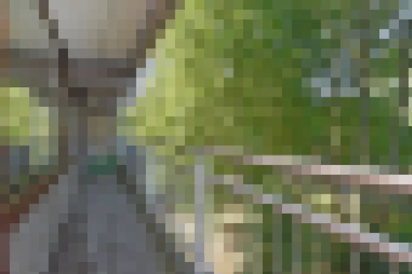 Roland Holstlaan 900 Delft thumbnail 16