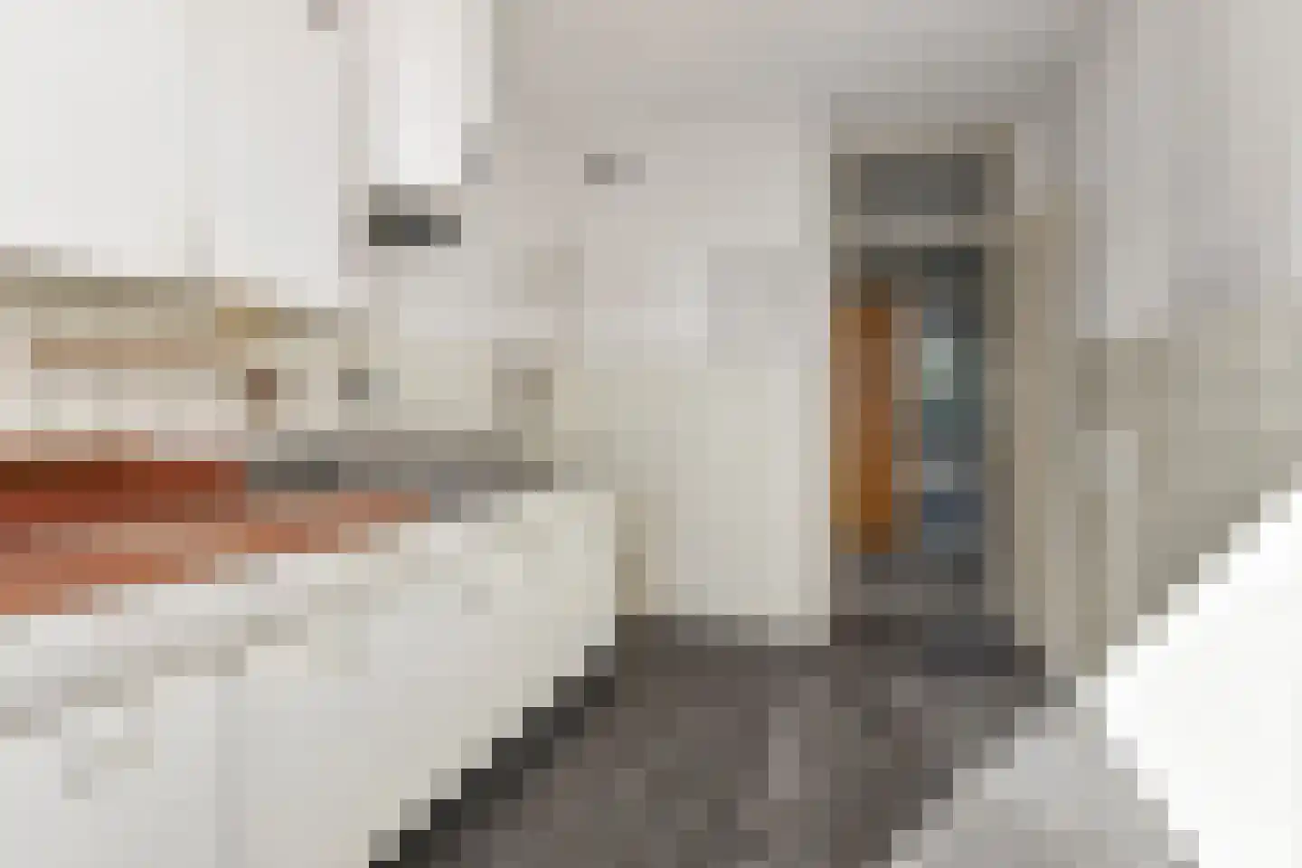 Roland Holstlaan 900 Delft thumbnail 27