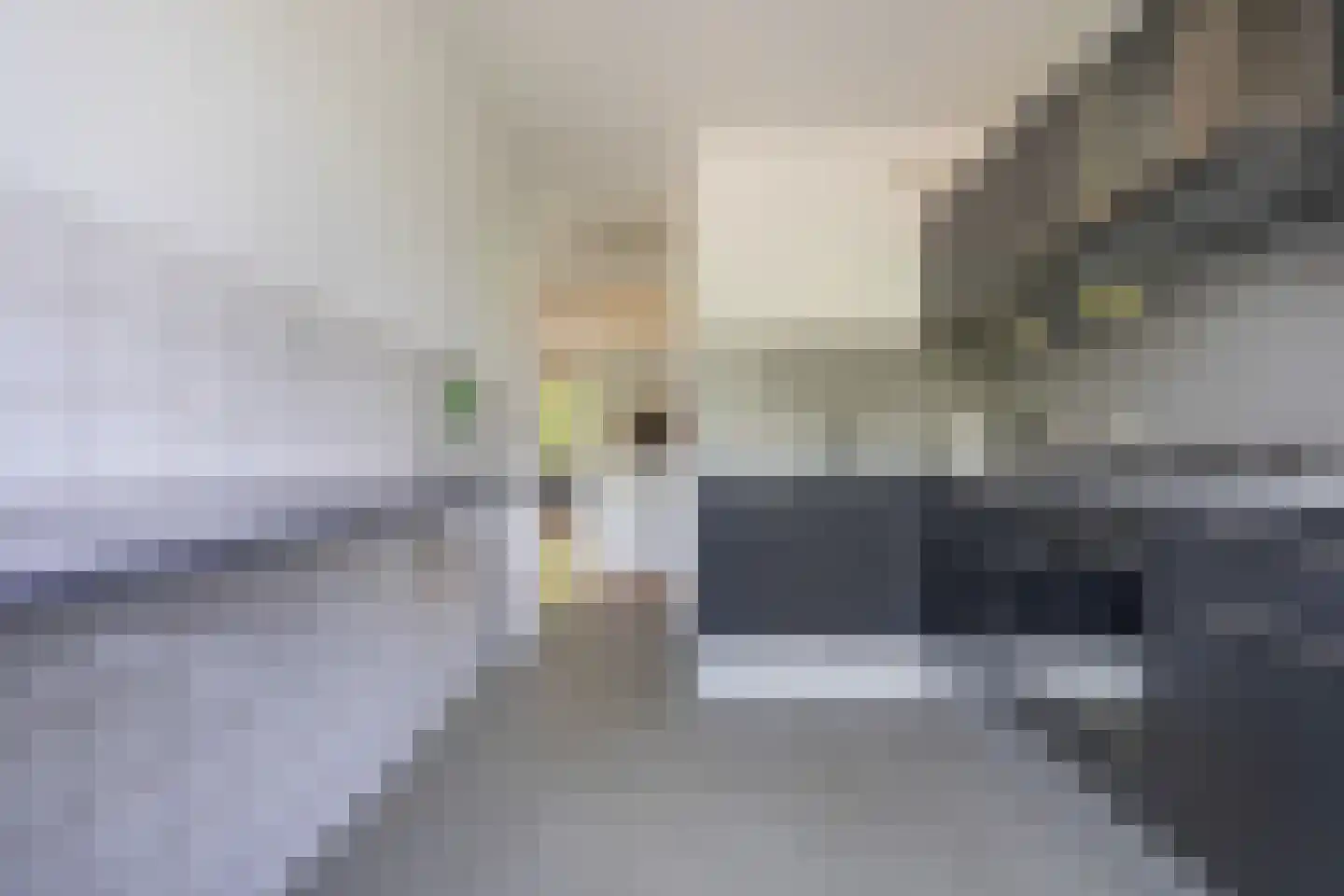 Roland Holstlaan 902 Delft thumbnail 18