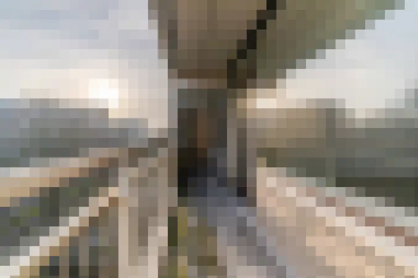 Roland Holstlaan 907 Delft thumbnail 10
